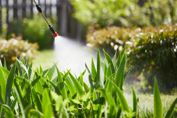 24/7 Emergency Termite Control experts in Big Sky, MT