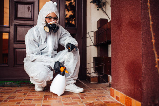 Reliable Termite Control contractor in Big Sky, MT by Nex Pest Control